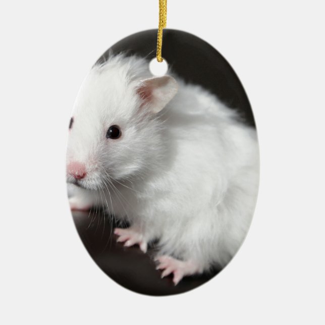 NalleHamster Julgransprydnad Keramik (Framsidan)