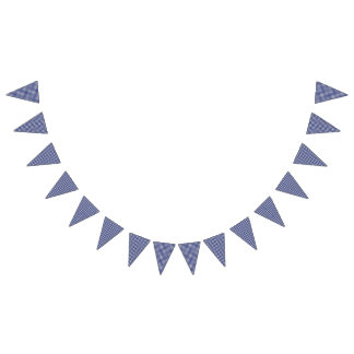 Nallepicknickfödelsedag - blåttGingham Vimplar