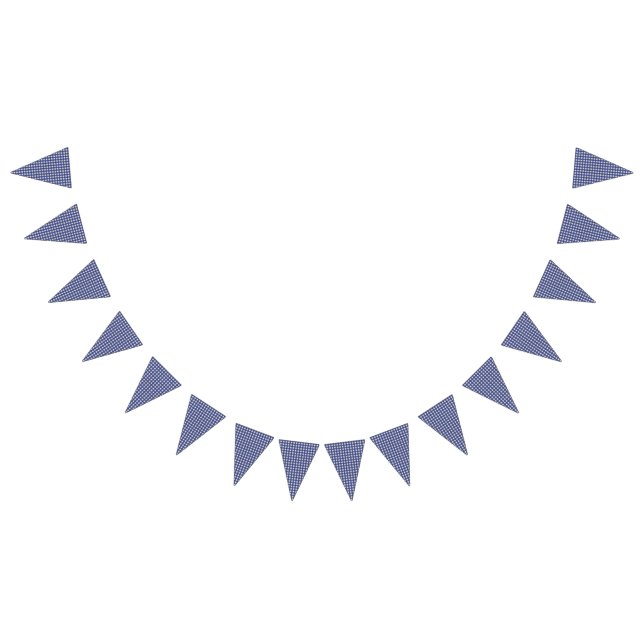 Nallepicknickfödelsedag - blåttGingham Vimplar (Alla)