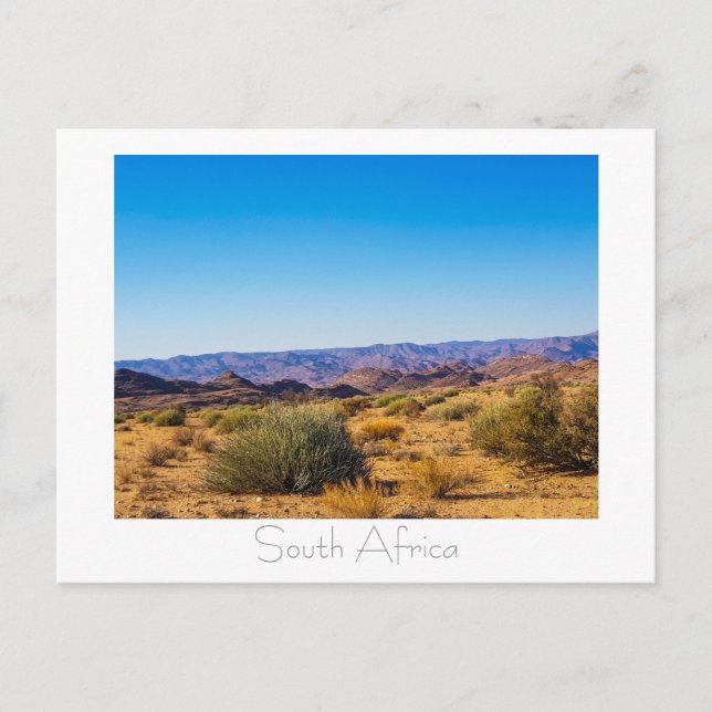 Namaqualand Natature View South Afrika SA Postcard Vykort (Framsida)