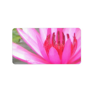 Namaste för dammlotusblommaTranquility tom adress Adressetikett