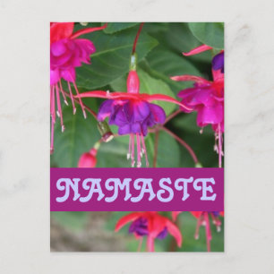 NAMASTE fuschia vykort