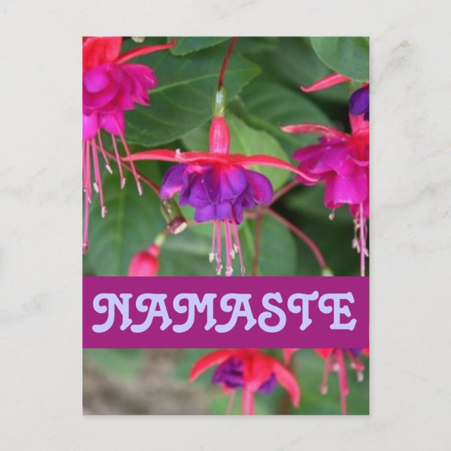 NAMASTE fuschia vykort (Framsida)