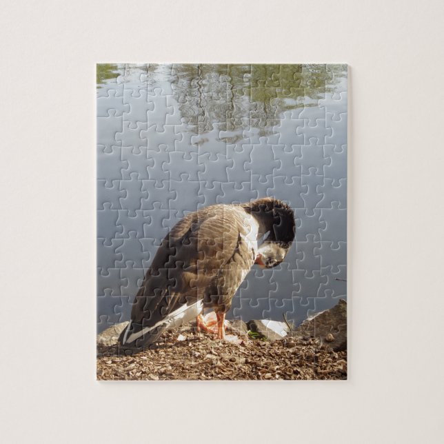 Namaste Goose bows head, Nature, Wildlife, Birds Pussel (Vertikal)