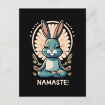 namaste kanin yoga kanin meditation