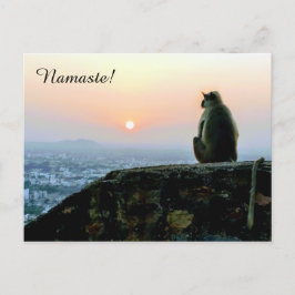 Namaste Meditation Yoga Monkey i Indien vid Sunset Vykort