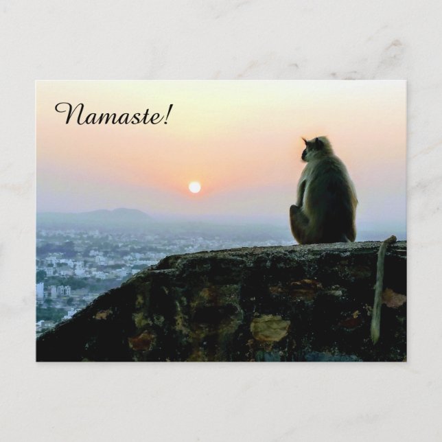 Namaste Meditation Yoga Monkey i Indien vid Sunset Vykort (Framsida)