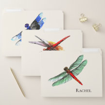 Name || Beautiful Watercolor Dragonflies