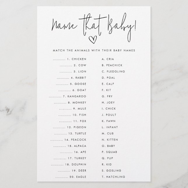 Name that Baby Minimalist Shower Paper Game Card Flygblad (Framsidan)