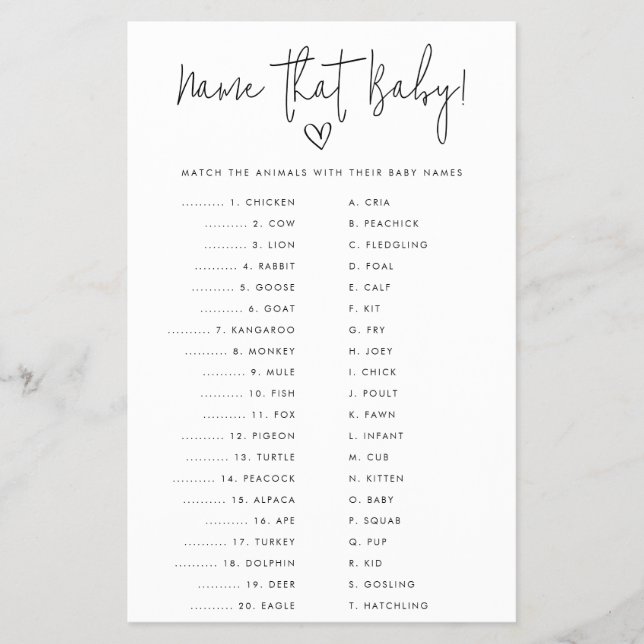 Name that Baby Minimalist Shower Paper Game Card Flygblad (Framsidan)