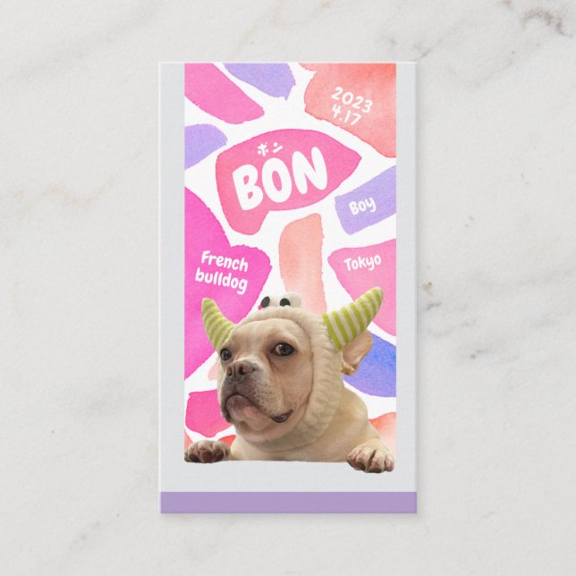 NameCard 7 Visitkort (Framsida)