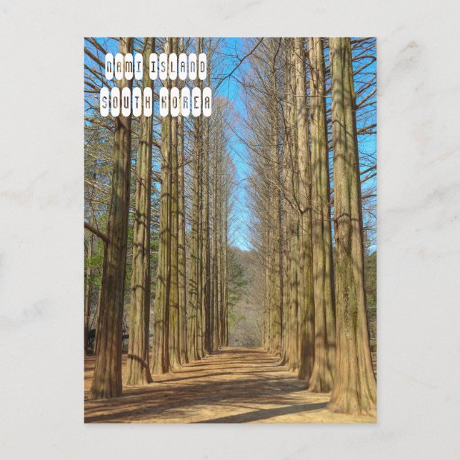 Nami Island Vykort (Framsida)