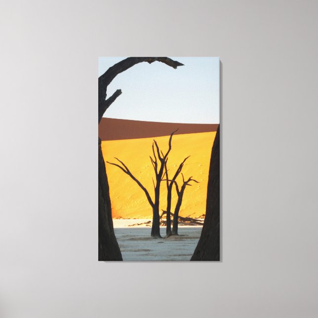 Namib-Naukluft Park, Sossusvlei | Dead Vlei Canvastryck (Framsida)