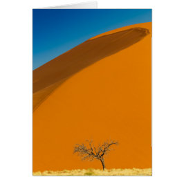 Namib Naumft National ParkNote-kort Hälsningskort