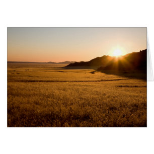 Namib Naumft Park Hälsningskort