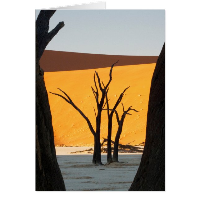 Namib-Naumft Park, Sossuvlei| Dead Vlei Hälsningskort (Framsidan)