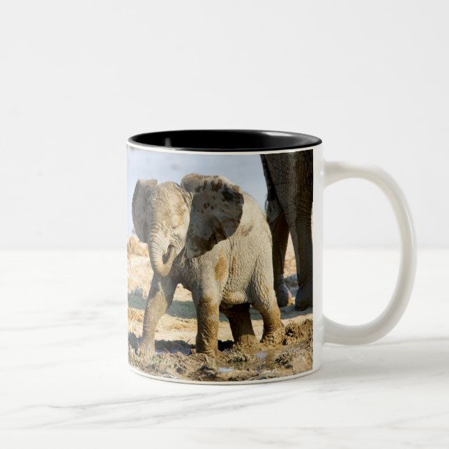Namibia, Afrika: Baby Afrikansk Elefant Två-Tonad Mugg (Höger)