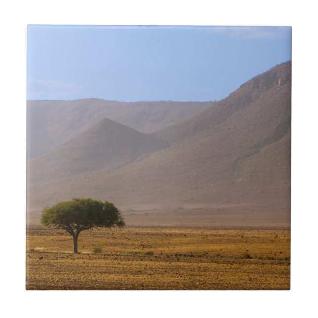Namibia Afrika Desert Scenery liggande natur Kakelplatta (Framsidan)