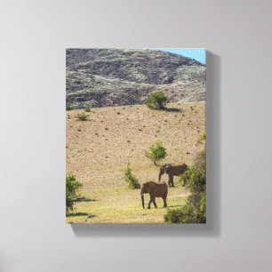 Namibia Afrika Huab River Elephant Damaraland Canvastryck