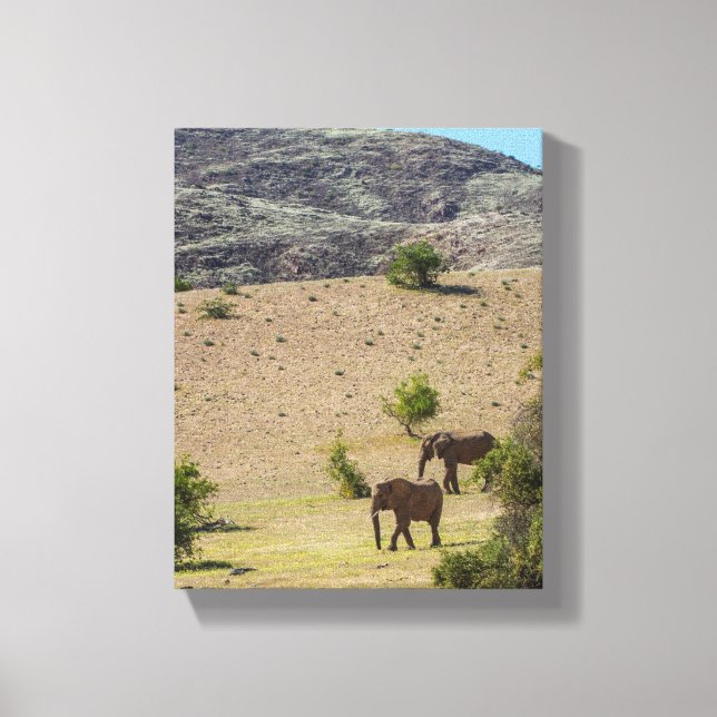 Namibia Afrika Huab River Elephant Damaraland Canvastryck (Framsida)