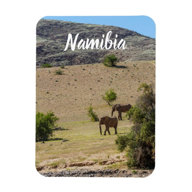 Namibia Afrika Huab River Elephant Damaraland Magnet (Vertikal)