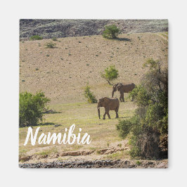 Namibia Afrika Huab River Elephant Damaraland Magnet