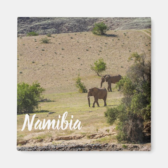 Namibia Afrika Huab River Elephant Damaraland Magnet (Framsidan)