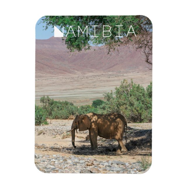 Namibia Afrika Huab River Elephant Damaraland Magnet (Vertikal)