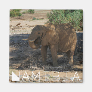 Namibia Afrika Huab River Elephant Damaraland Magnet