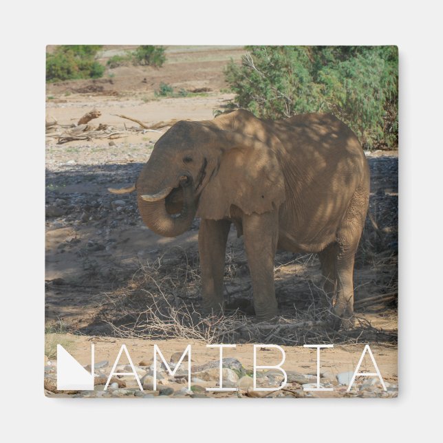 Namibia Afrika Huab River Elephant Damaraland Magnet (Framsidan)