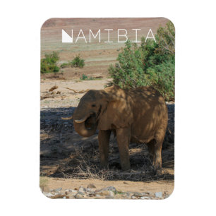 Namibia Afrika Huab River Elephant Damaraland Magnet