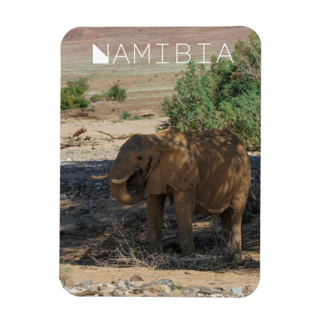 Namibia Afrika Huab River Elephant Damaraland Magnet (Vertikal)