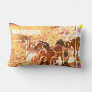 Namibia Afrika Namibian Goats Lumbarkudde