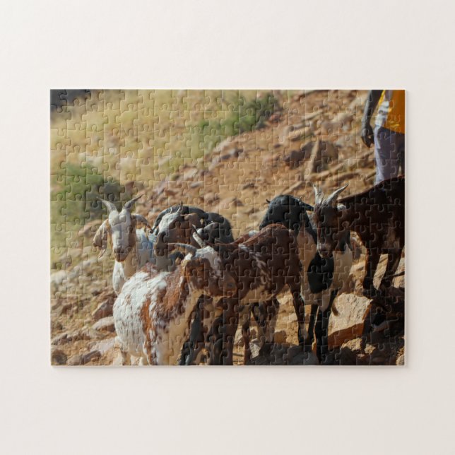 Namibia Afrika Namibian Ligcape Goats Pussel (Horisontell)