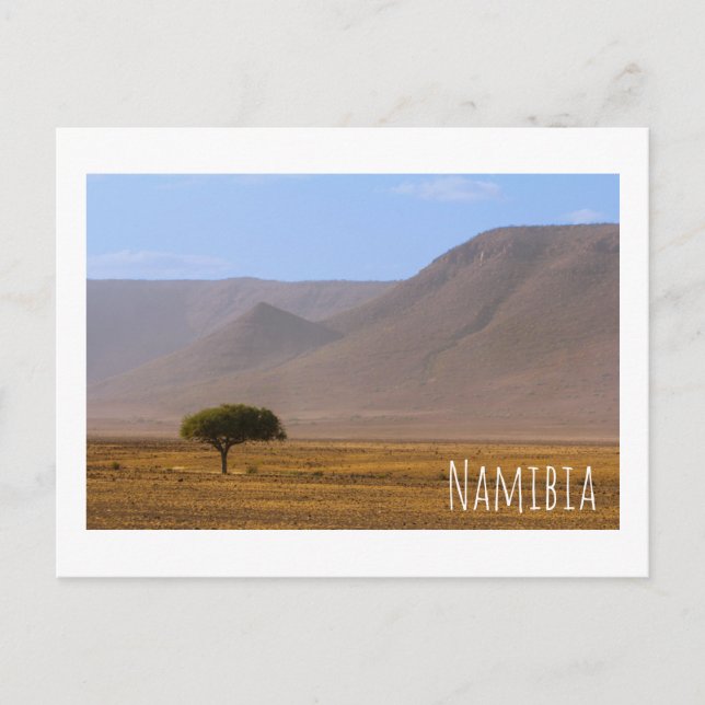 Namibia Afrika Öken Landskap Natur Vykort (Framsida)