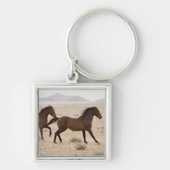 Namibia, Aus. Vilda hästar springer på Namib Fyrkantig Silverfärgad Nyckelring (Framsidan)