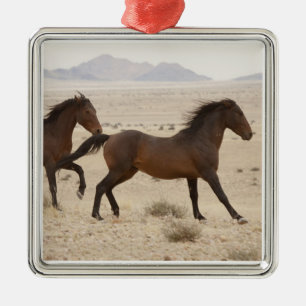 Namibia, Aus. Vilda hästar springer på Namib Julgransprydnad Metall