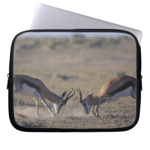 Namibia, Etosha National Park, Två hanar Laptop Fodral