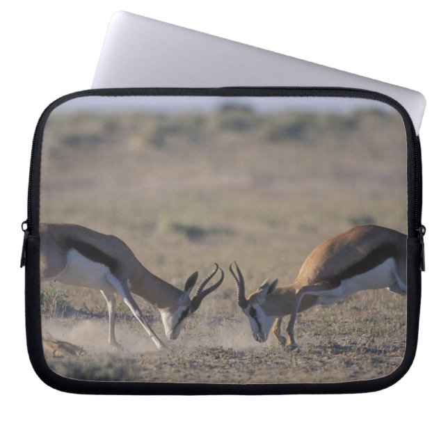 Namibia, Etosha National Park, Två hanar Laptop Fodral (Framsidan)