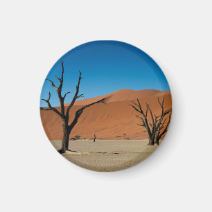 Namibia - förstenade träd på den döda Vlei Magnet