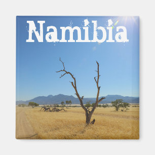 Namibia Marienfluss Savannah liggande natur Magnet