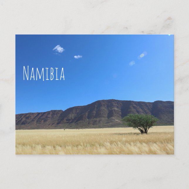 Namibia Marienfluss Savannah liggande natur Vykort (Framsida)