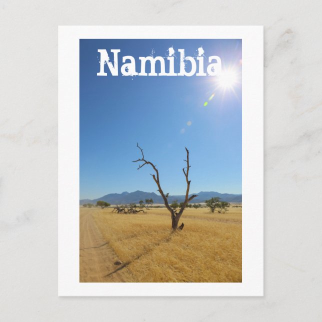Namibia Marienfluss Savannah liggande natur Vykort (Framsida)