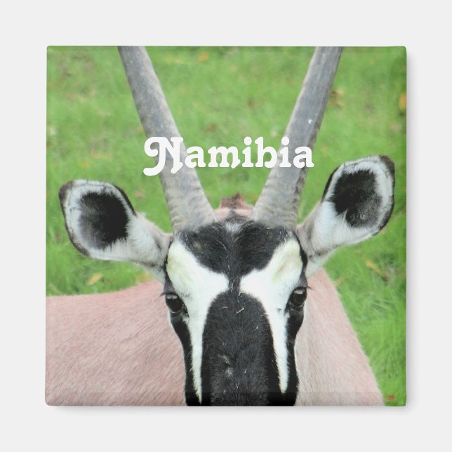 Namibia Oryx Magnet (Framsidan)
