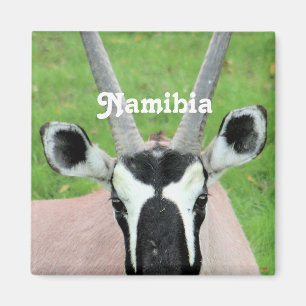 Namibia oryxantilop magnet