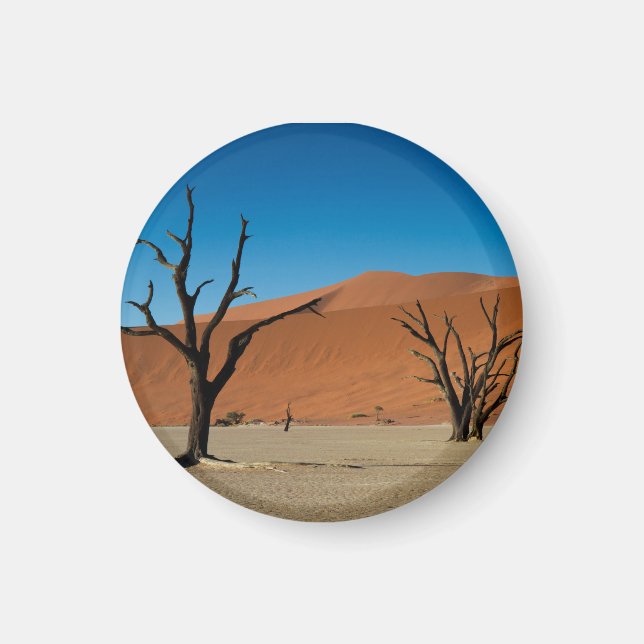 Namibia - Petrified träd vid Dead Vlei magnet (Framsidan)