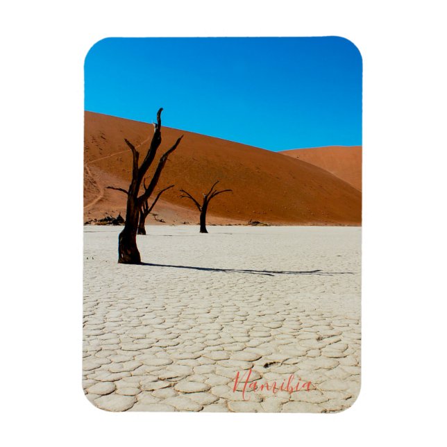 Namibia Sand Dunes Ligcape Sossusvlei Magnet (Vertikal)