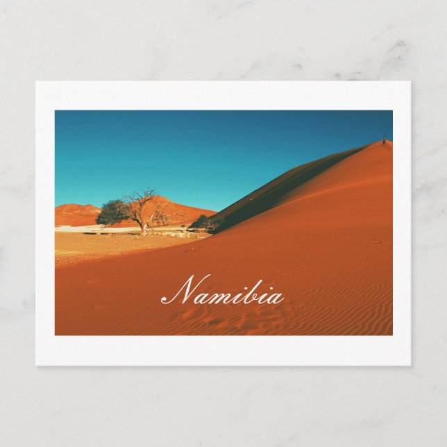 Namibia Sand Dunes Ligcape Sossusvlei Vykort (Framsida)