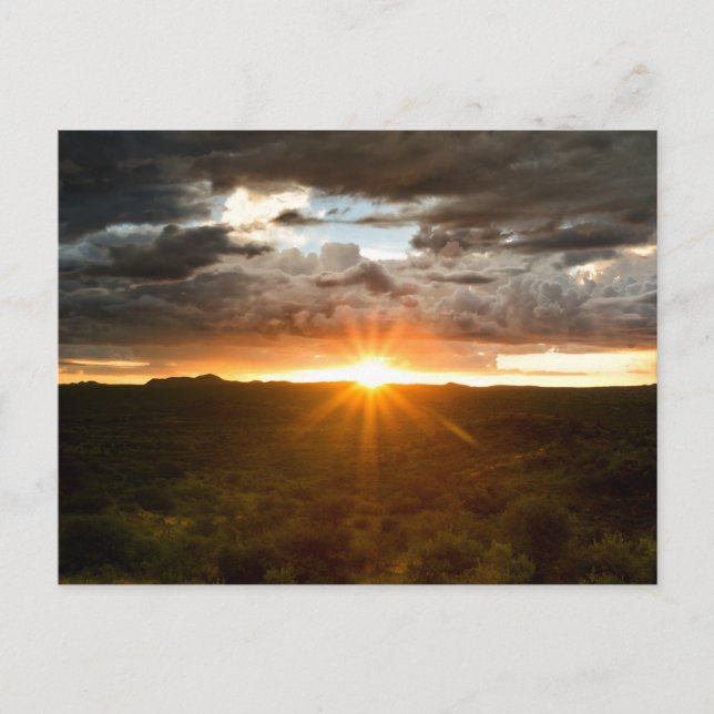Namibia - solnedgång över slättvykortet vykort (Framsida)