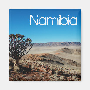 Namibia Tirool Namib Desert liggande Kokerboom Magnet